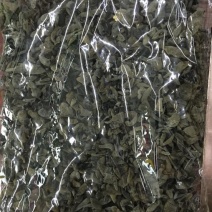 干木耳