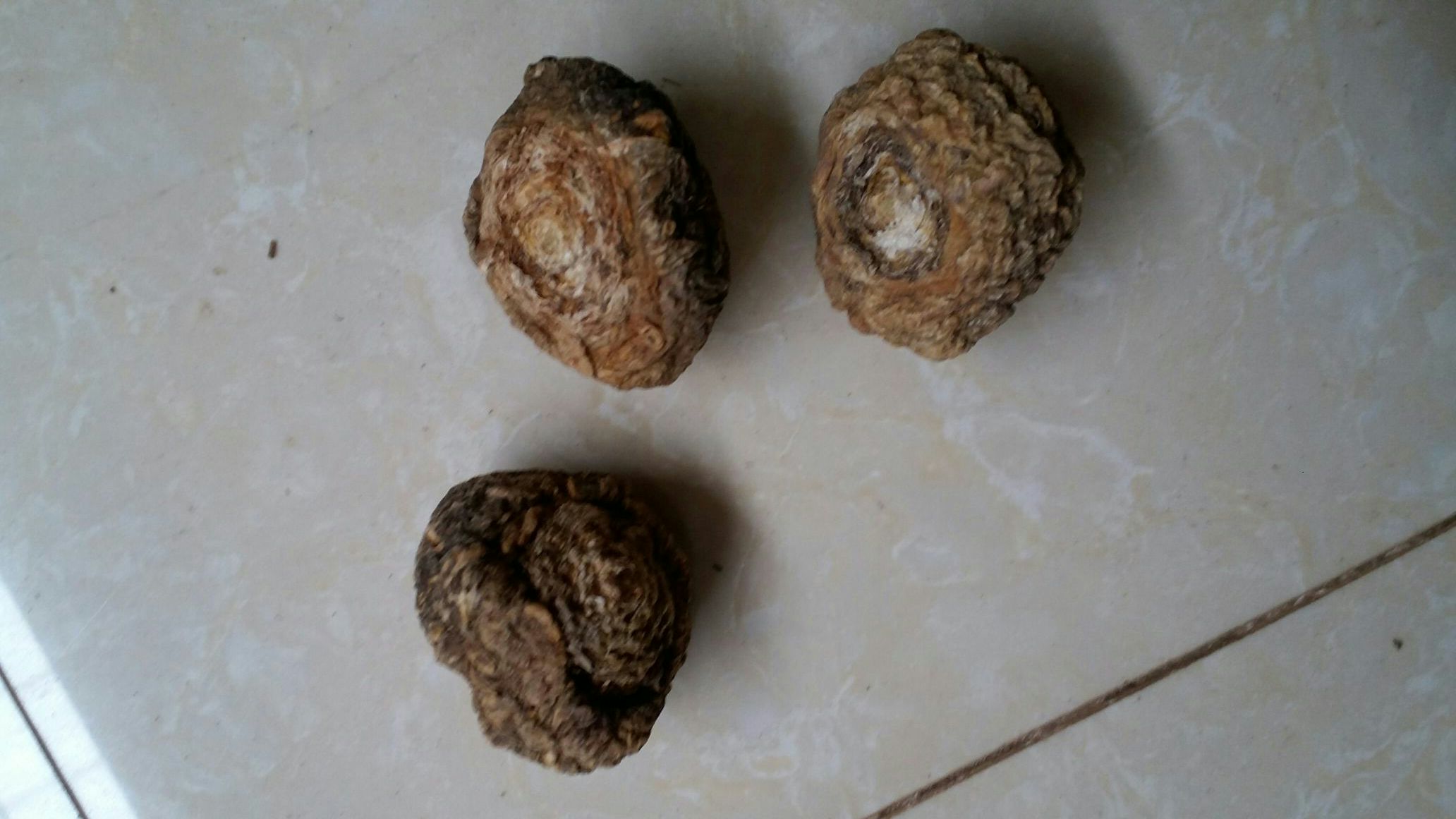 图片说明:新鲜干燥的黑玛卡干片与红润饱满的枸杞特写,展示两种食材的天然色泽和质地 黑玛卡与枸杞食材展示