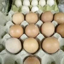 普通鸡蛋食用50~60g