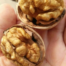薄皮核桃30mm以上去皮干