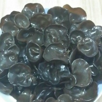 黑山秋耳特级