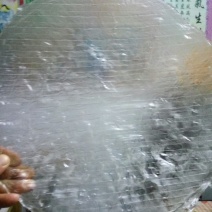 绿豆粉皮包装