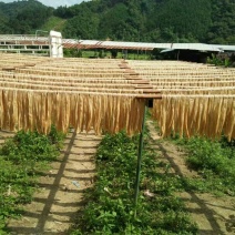 腐竹散装