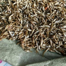 鱼干烤鱼干