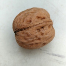 薄皮核桃去皮
