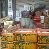 新甜哈密瓜3斤以上长圆形