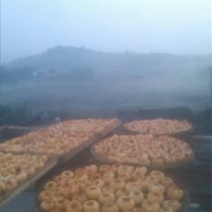柿饼1~2两