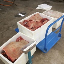 驴肉