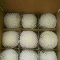 梨200~250g膜袋