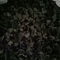 干木耳一级