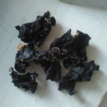 干木耳一级