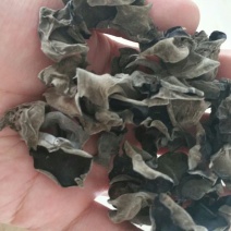黑木耳特级