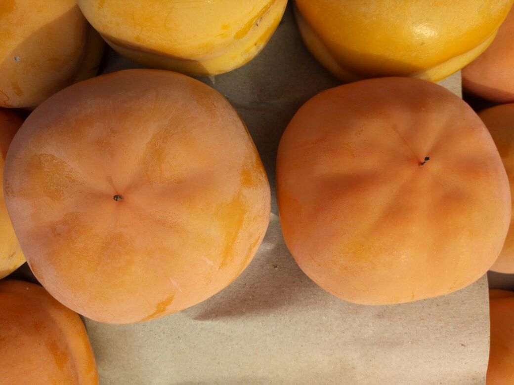 展示一颗成熟饱满的磨盘柿,果实呈扁圆形,橙红色,表面光滑,背景为自然果园环境 磨盘柿果实特写