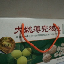 薄皮核桃去皮干