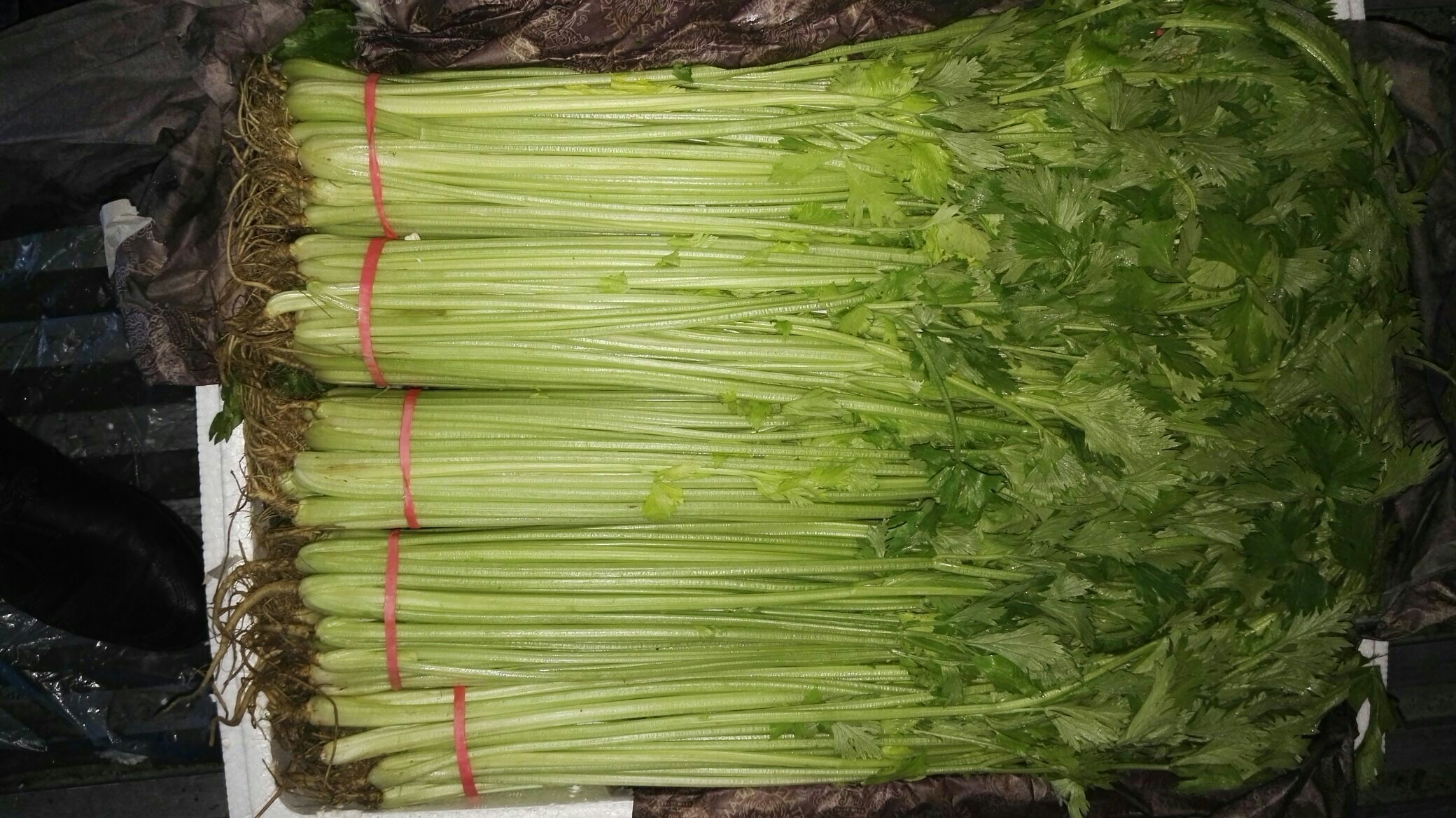 山芹菜包子