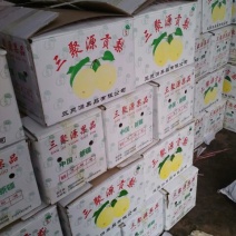 酥梨250~300g纸袋