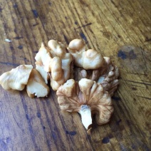 薄皮核桃