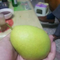 长把梨200~250g纸袋