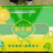 富硒梨600g以上纸加膜