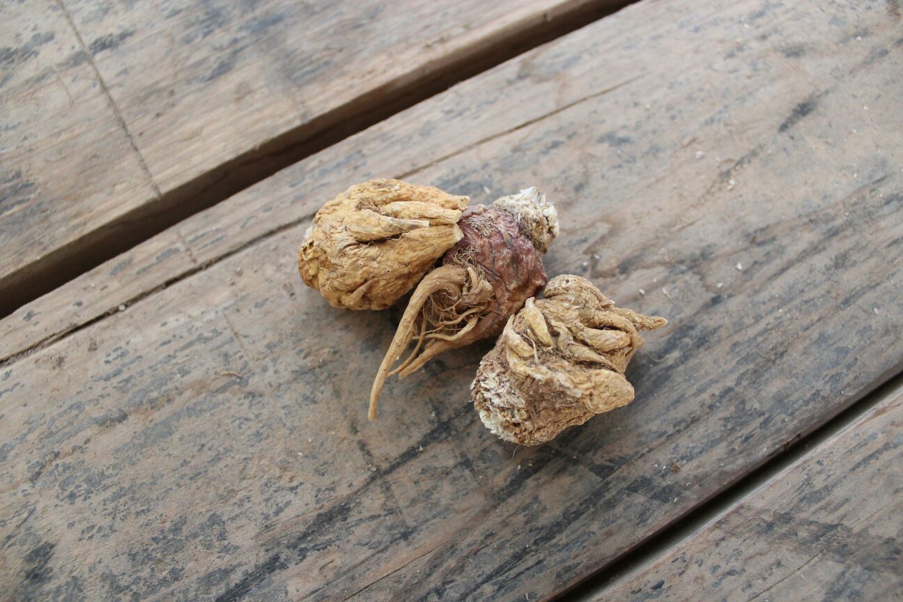 黑玛卡泡酒制作过程