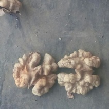 薄皮核桃30mm以上去皮