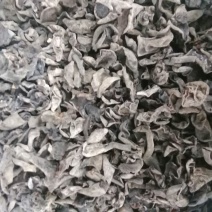 黑木耳