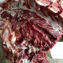 驴肉鲜货