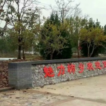 柿饼1~2两