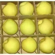 酥梨250~300g纸箱