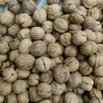 薄皮核桃去皮干