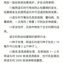 先正达拌种剂10ml(袋装)