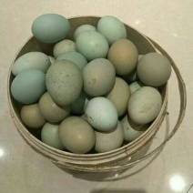 绿壳鸡蛋食用50g以下