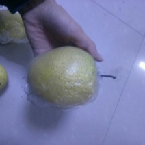 雪花梨450~500g筐装