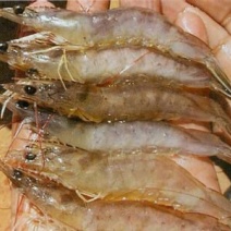对虾干