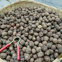 薄皮核桃30mm以上去皮