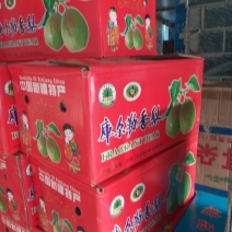 库尔勒香梨100~150g65mm以上母