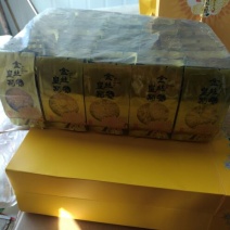 菊花茶开花
