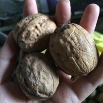 薄皮核桃