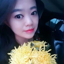 皇菊茶特级