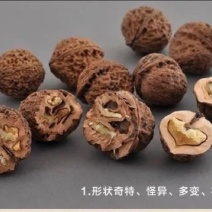 铁核桃