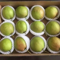 梨500~550g纸箱
