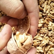 薄皮核桃去皮