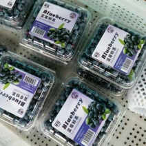 野生蓝莓鲜果10~12mm以上
