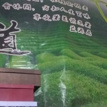 观音茶一级