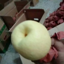 蒲城酥梨纸箱