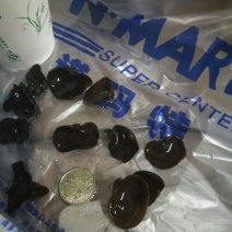 黑木耳一级