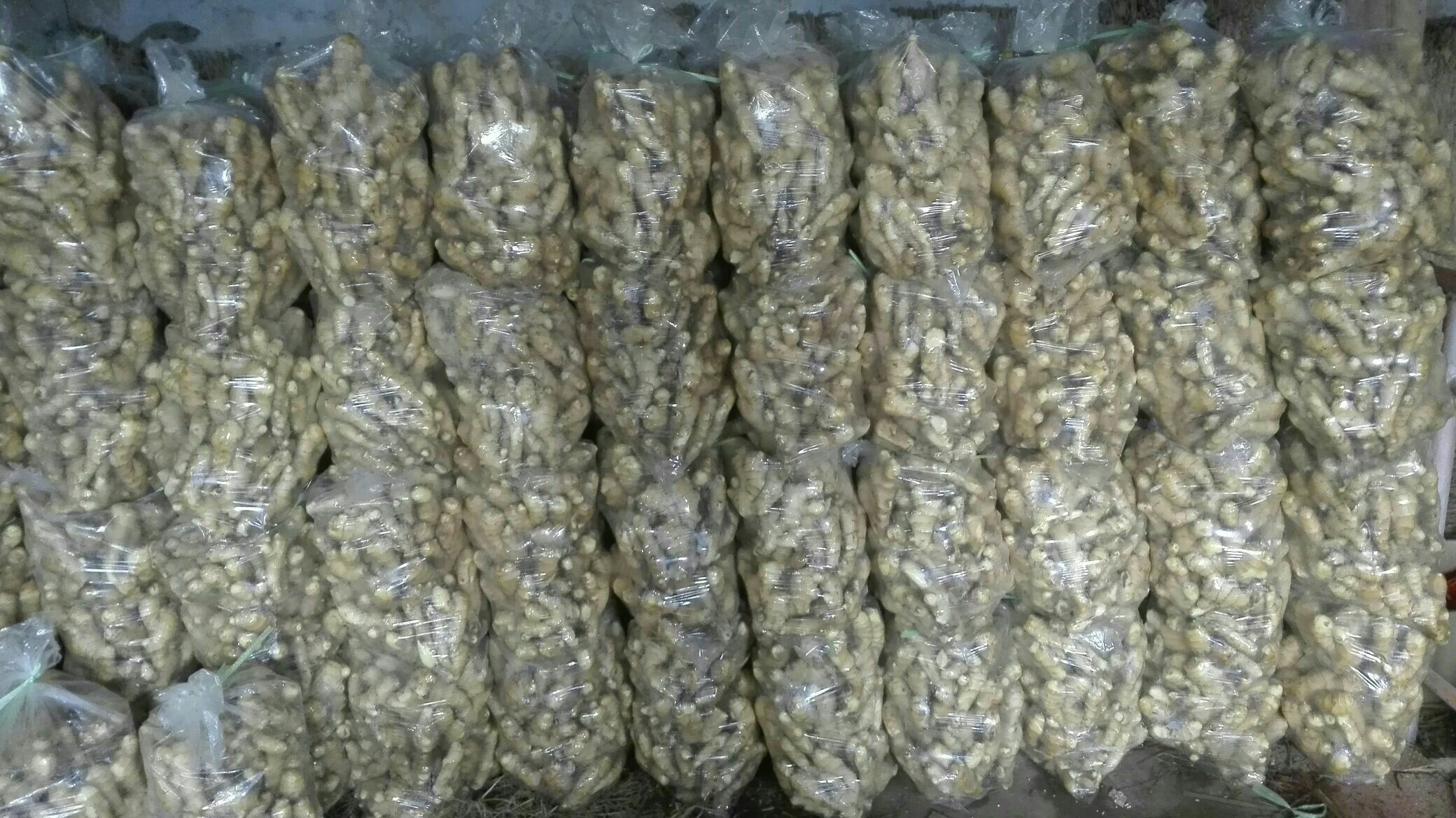 超市货架上的成都仔姜商品陈列
