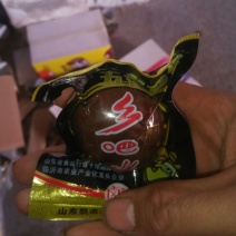 卤蛋