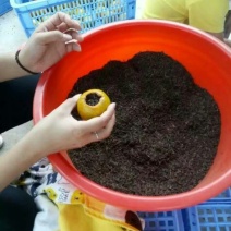 柑普茶一级