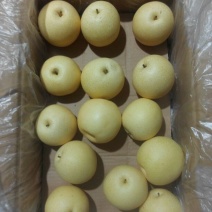 皇冠梨250~300g纸袋